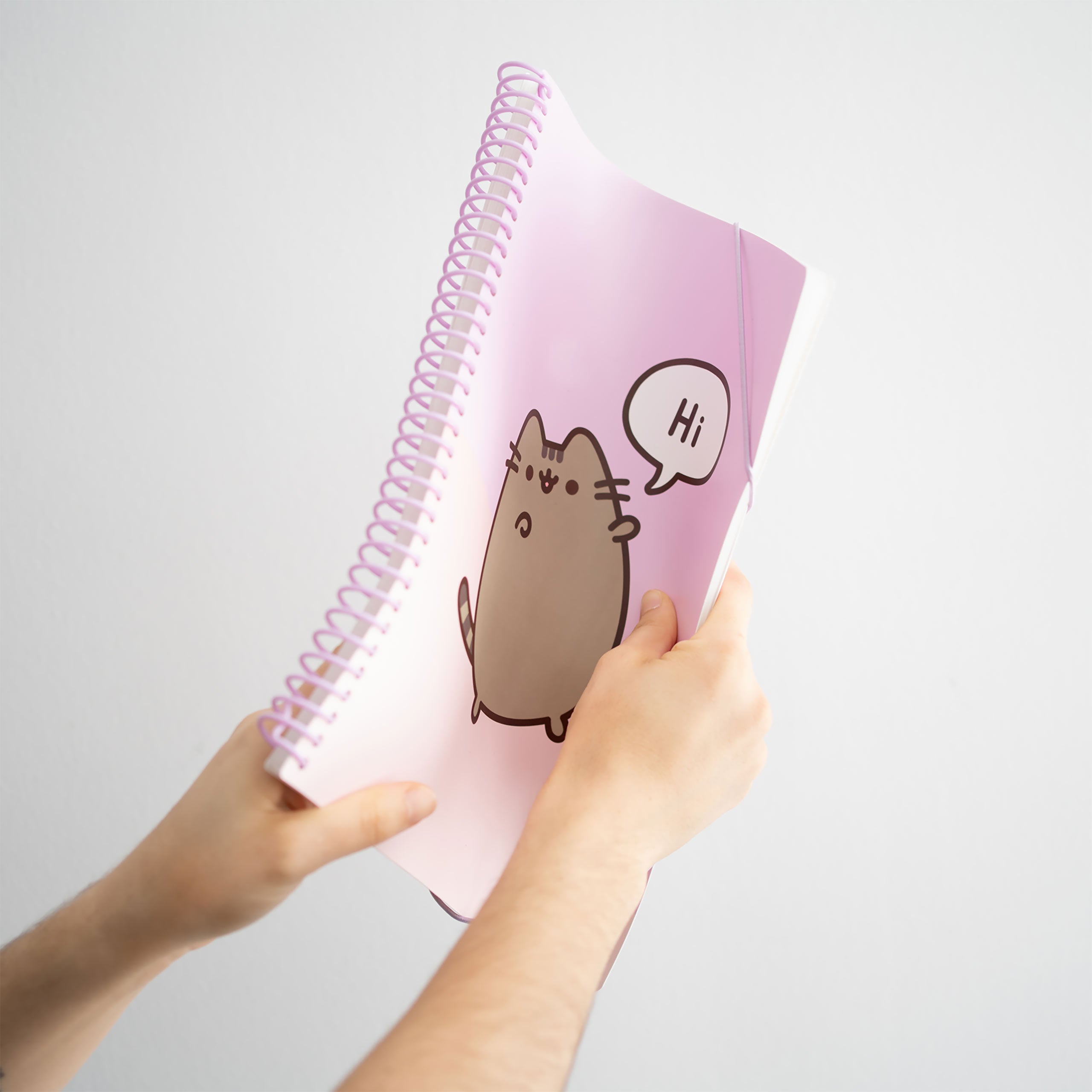 Immagine del prodotto Pusheen - Hi & Bye Cartella A4