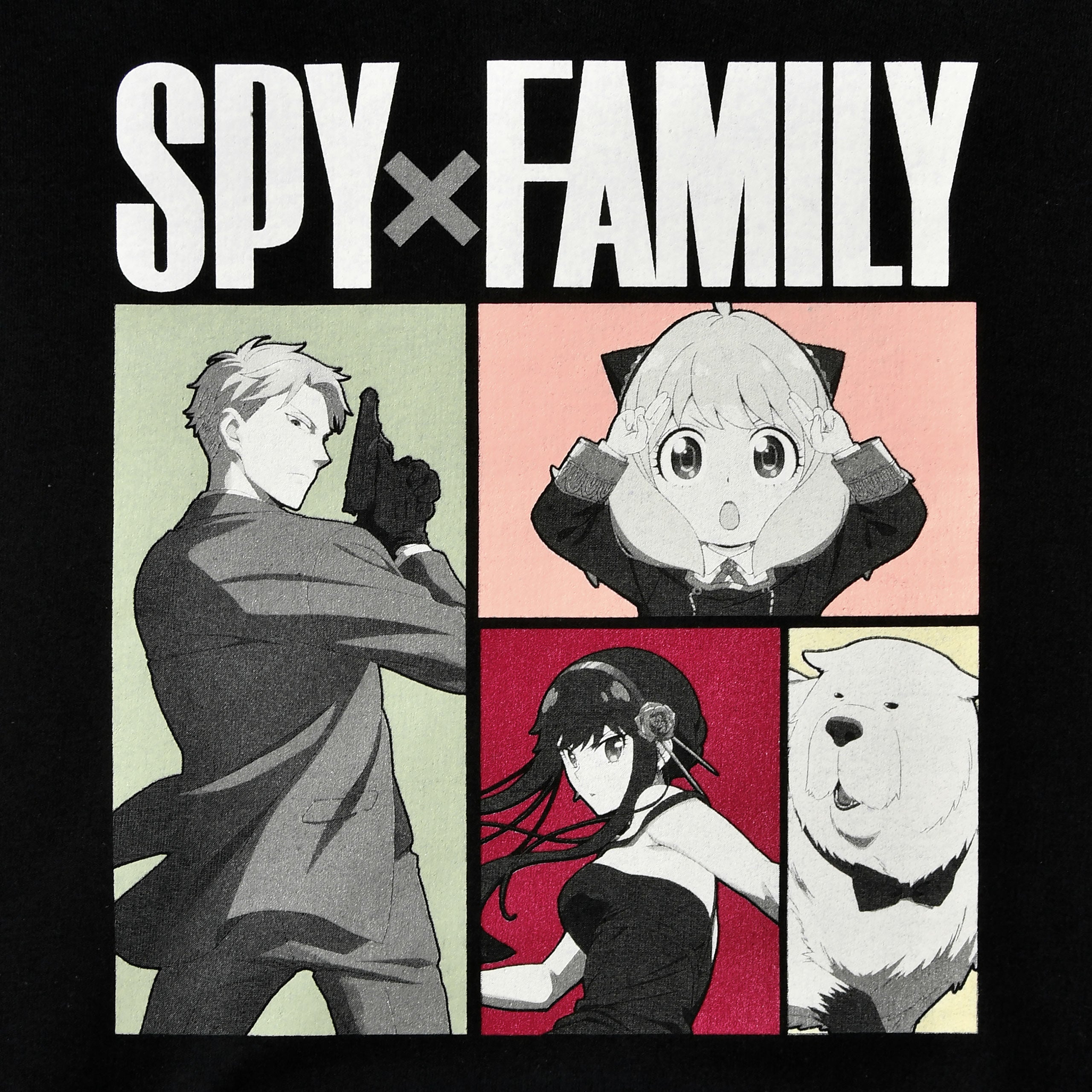 Immagine del prodotto Spy x Family - Felpa con cappuccio Family Forger