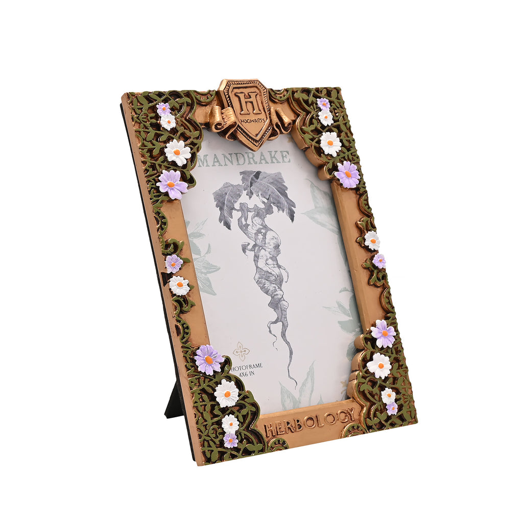 Product image Harry Potter - Herbology Picture Frame