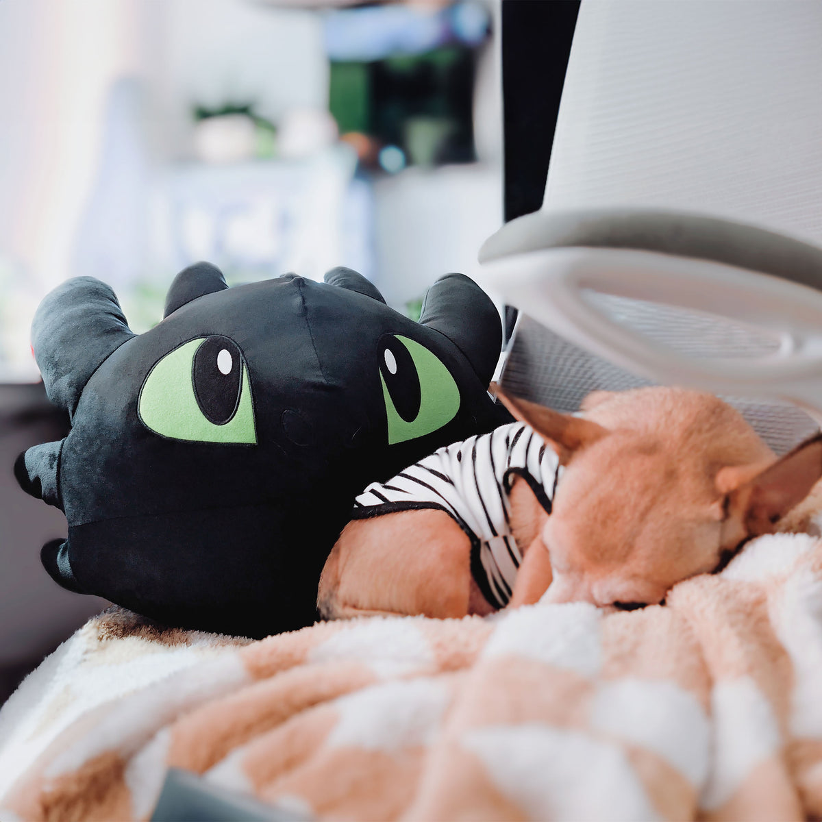 Immagine del prodotto Dragon Trainer - Cuscino Sdentato