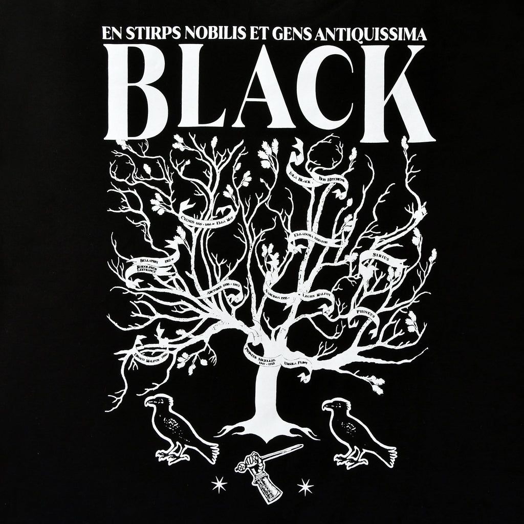 Immagine del prodotto Harry Potter - T-shirt House of Black nera