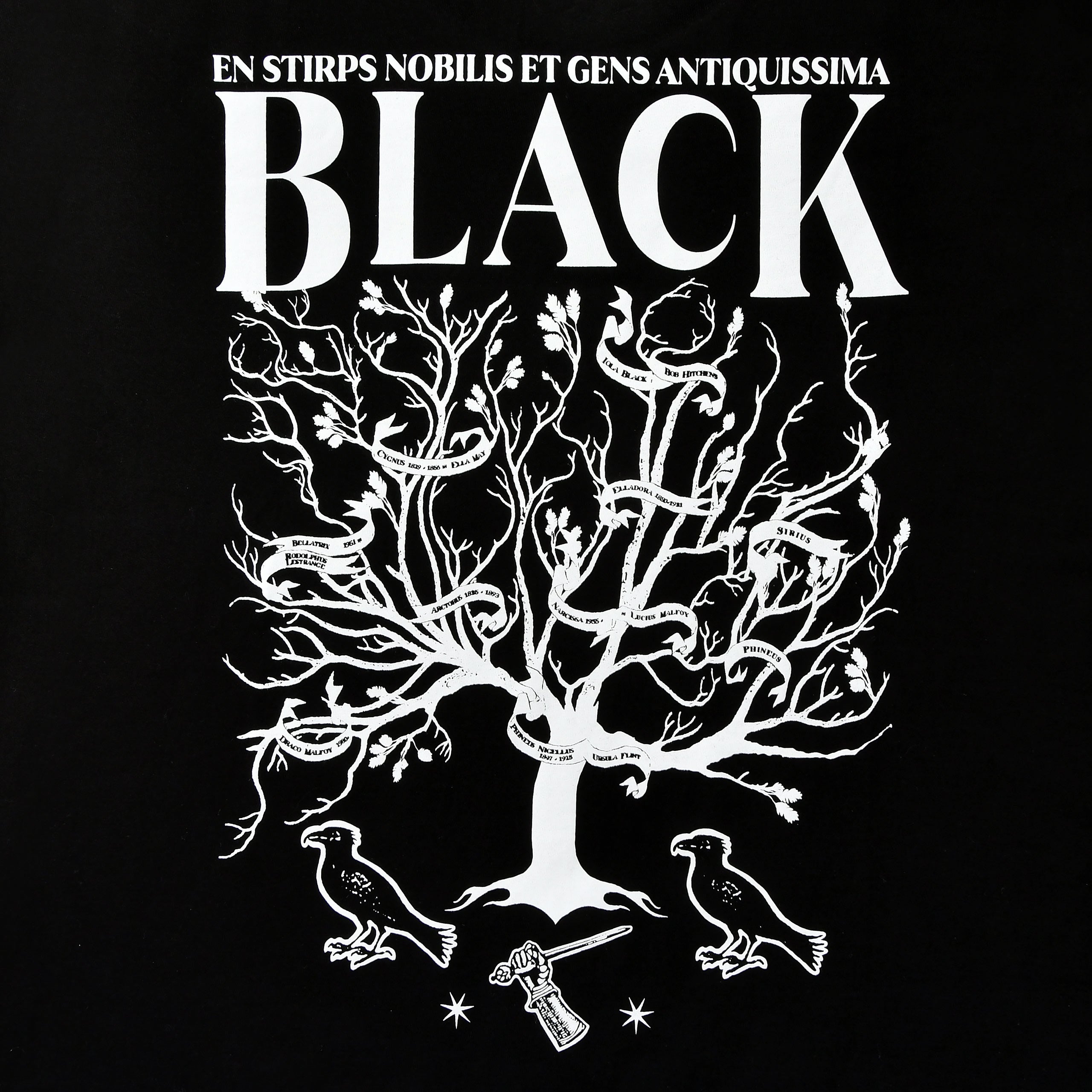Immagine del prodotto Harry Potter - T-shirt House of Black nera