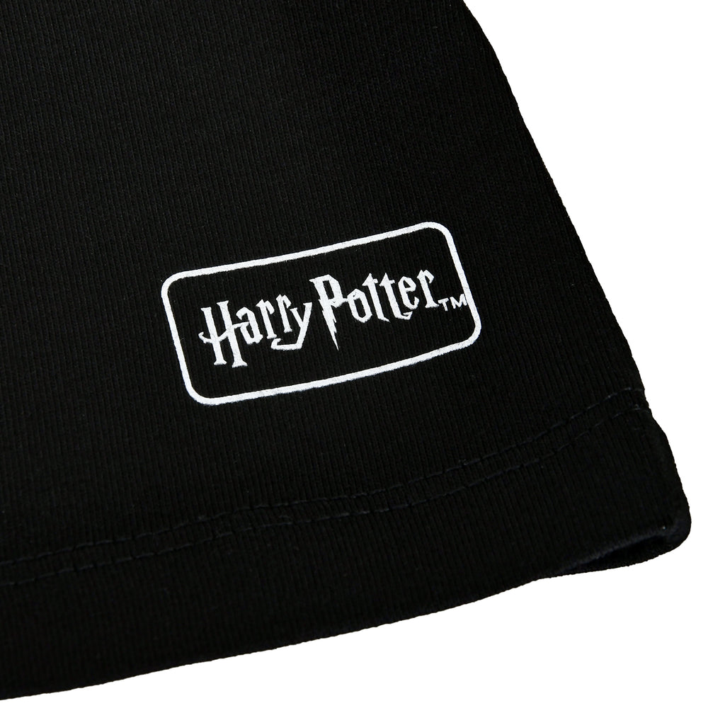 Immagine del prodotto Harry Potter - T-shirt House of Black nera