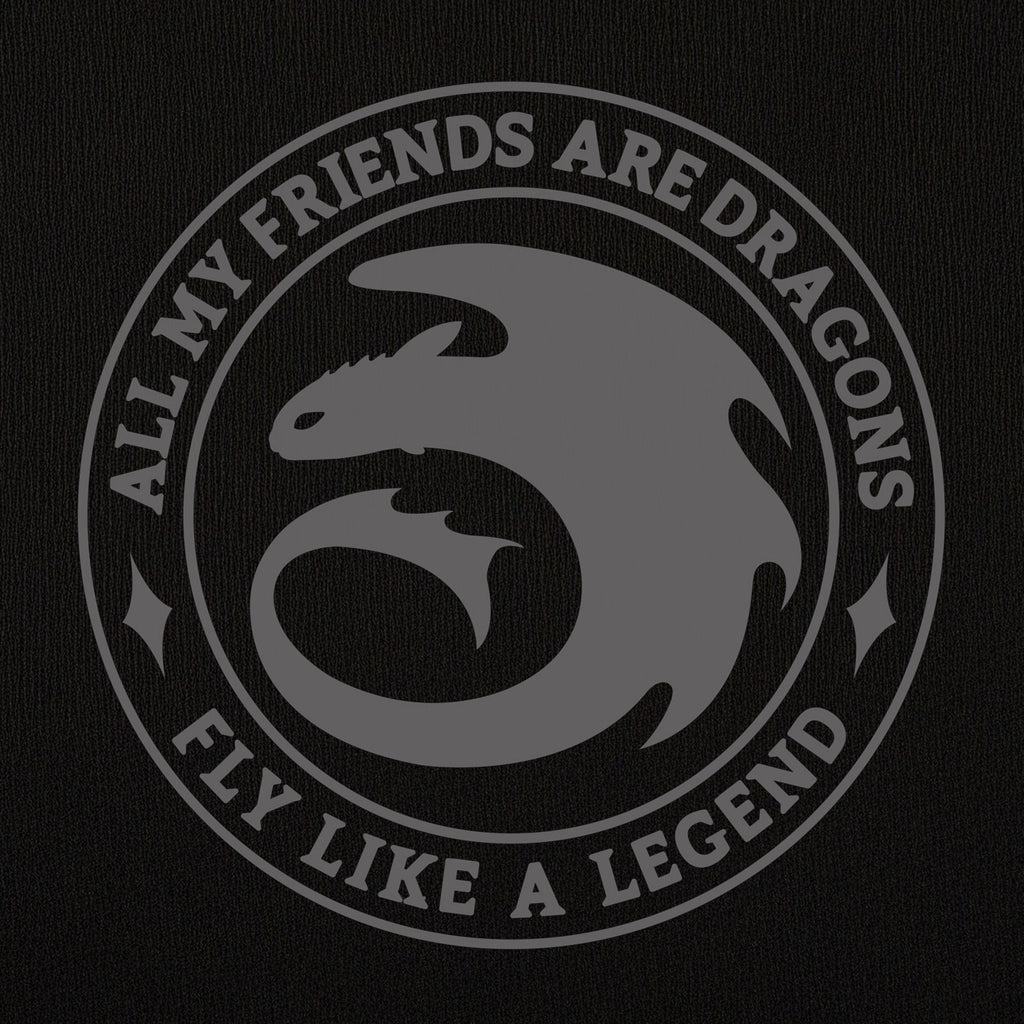 Immagine del prodotto Dragon Trainer - Felpa con cappuccio Night Fury Legend nera