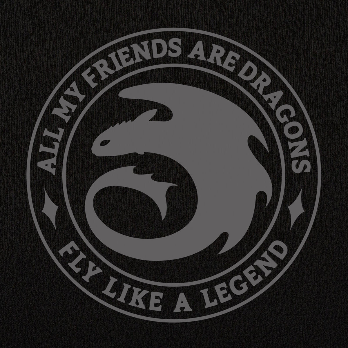 Immagine del prodotto Dragon Trainer - Felpa con cappuccio Night Fury Legend nera