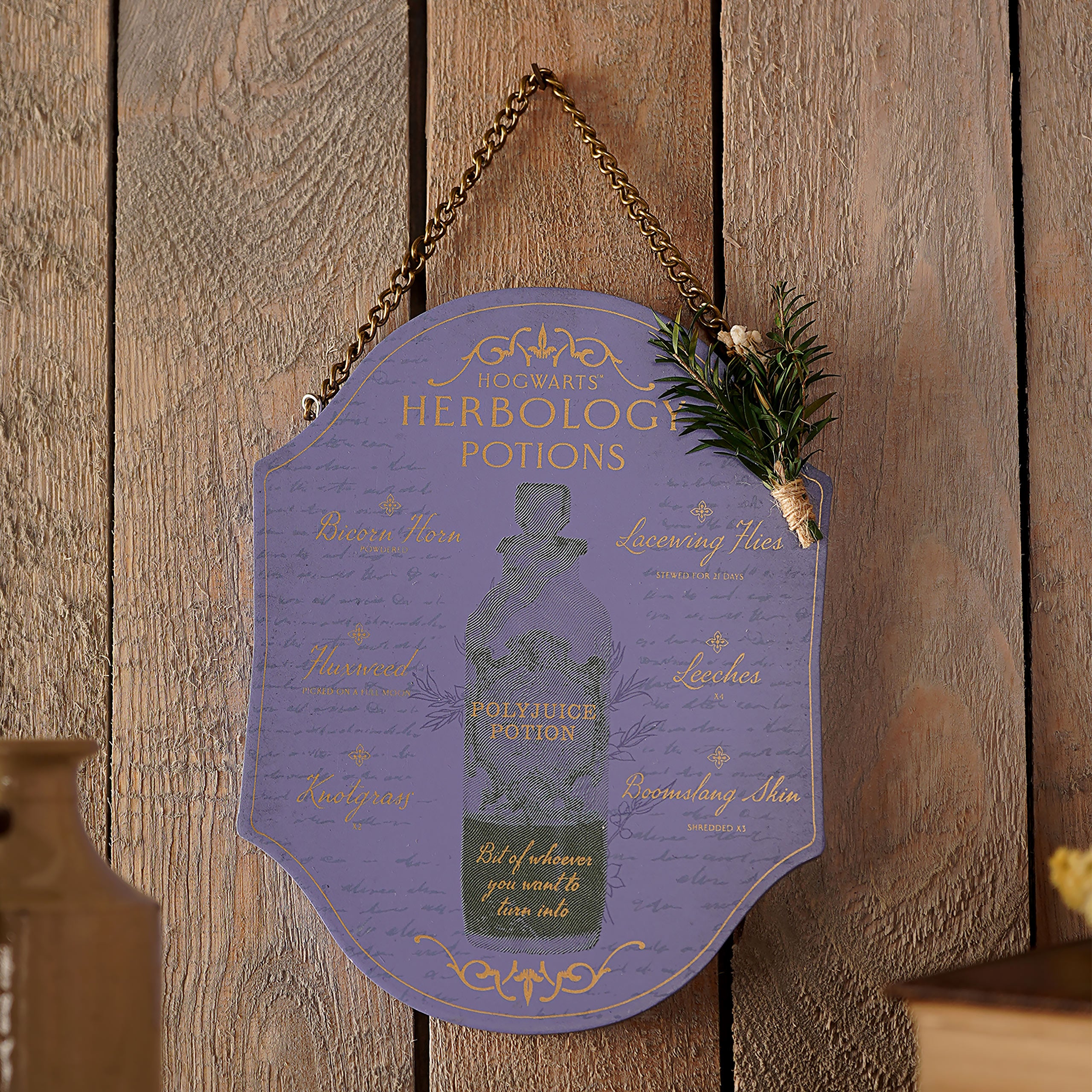 Immagine del prodotto Harry Potter - Quadro in legno Erbologia e Pozioni