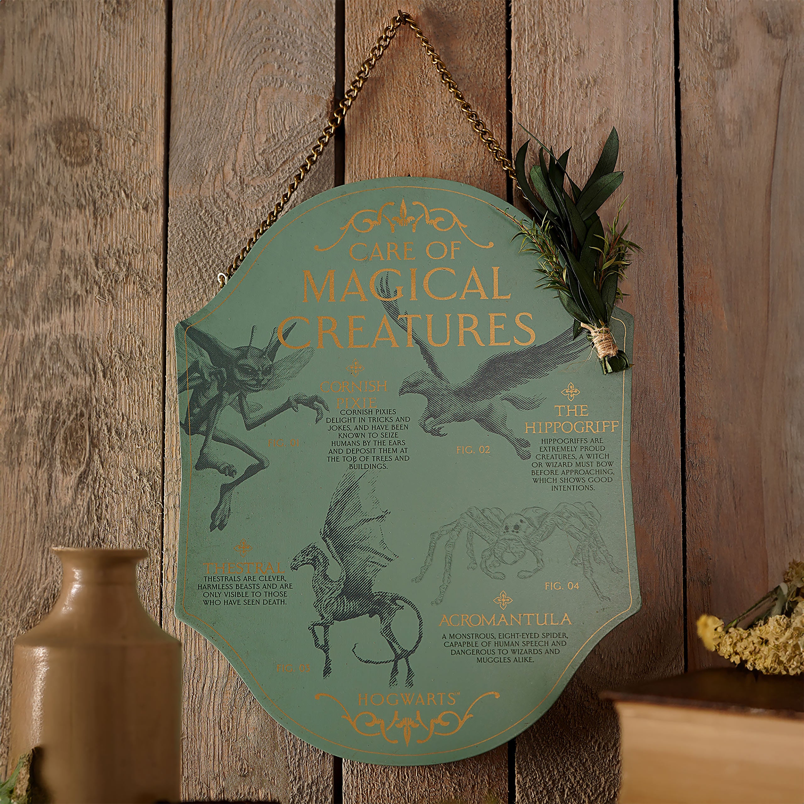 Immagine del prodotto Harry Potter - Cura delle Creature Magiche Quadro in Legno