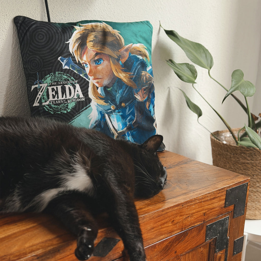 Immagine del prodotto Cuscino Link - Zelda