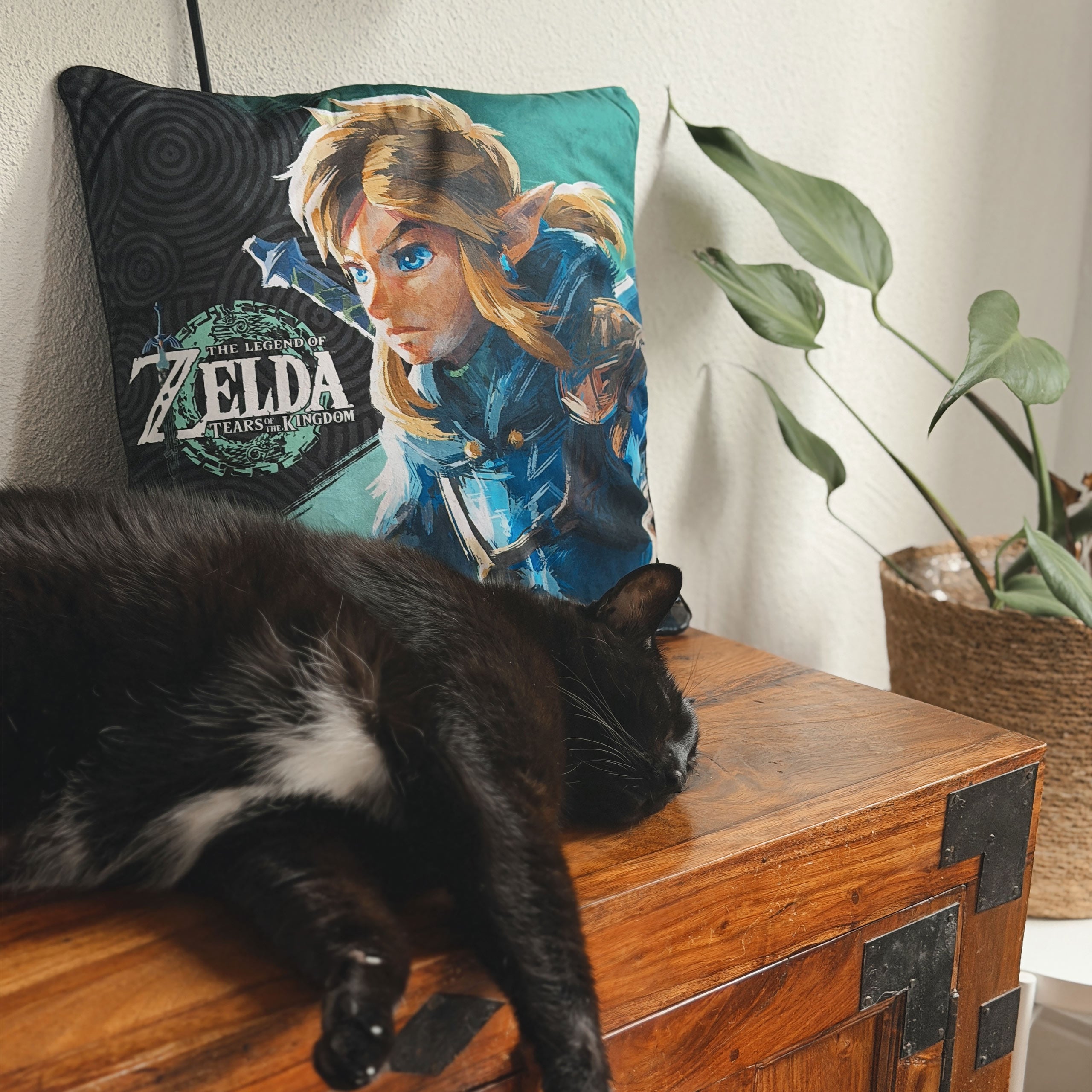 Immagine del prodotto Cuscino Link - Zelda