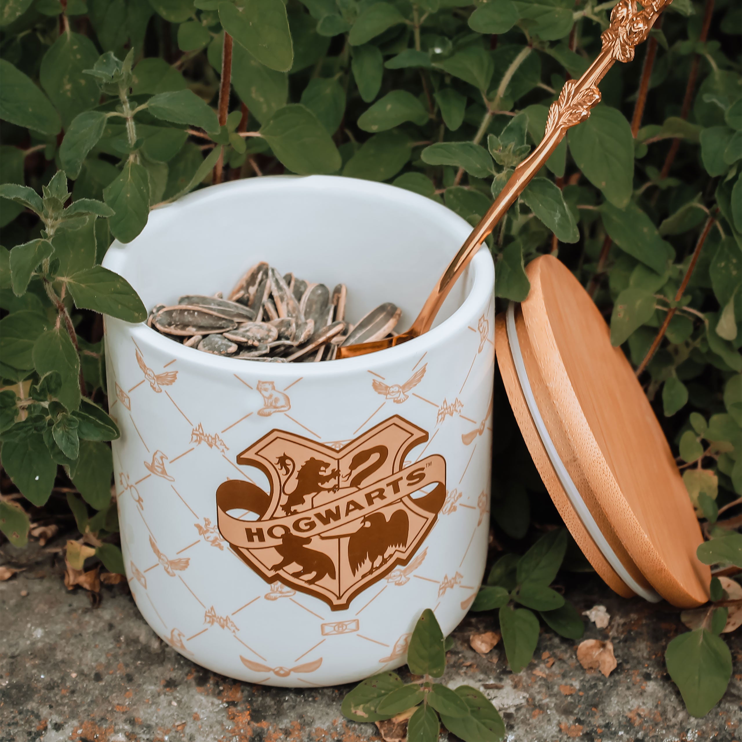 Immagine del prodotto Harry Potter - Barattolo Hogwarts Collezione Serene