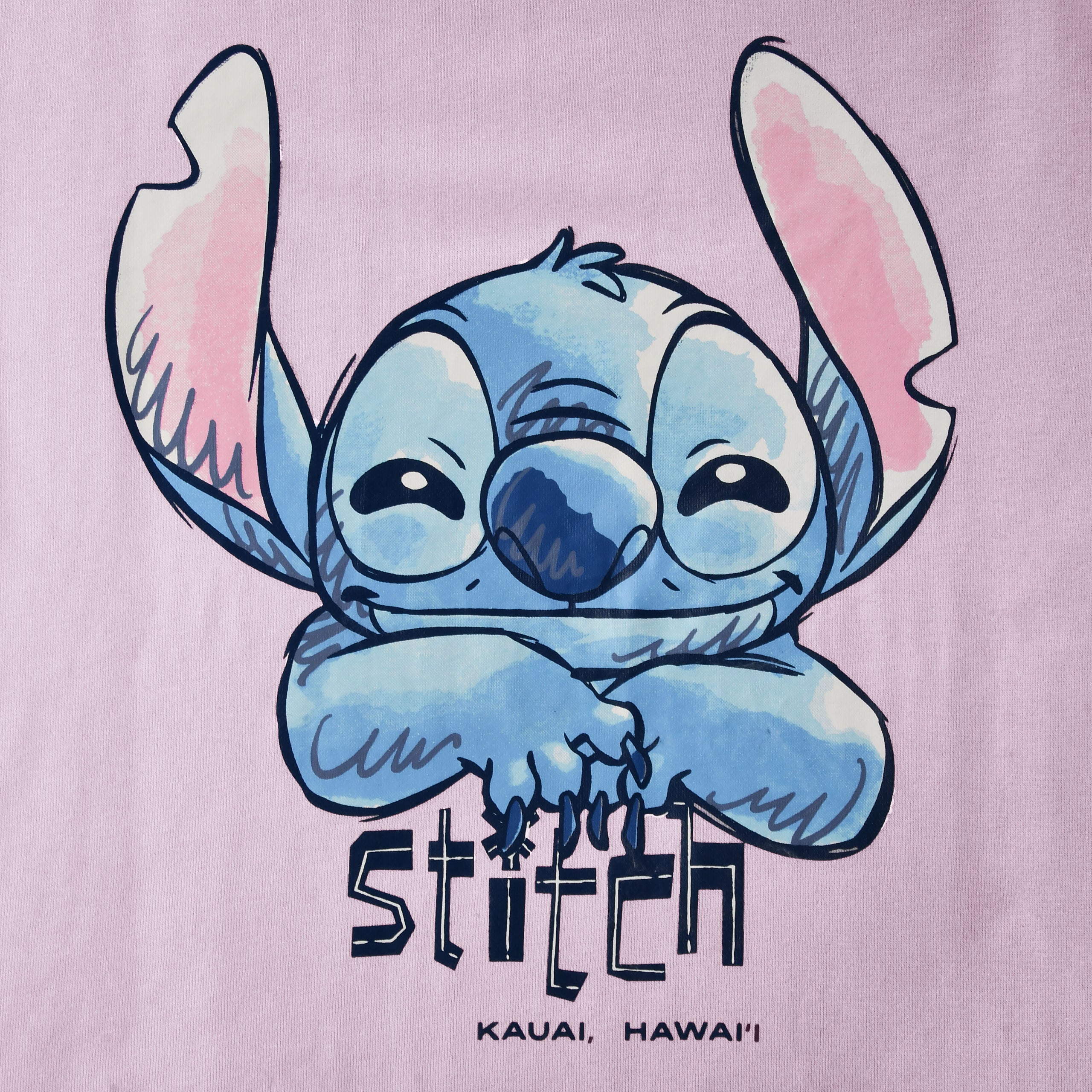 Immagine del prodotto Felpa Stitch Kauai Hawaii - Lilo & Stitch