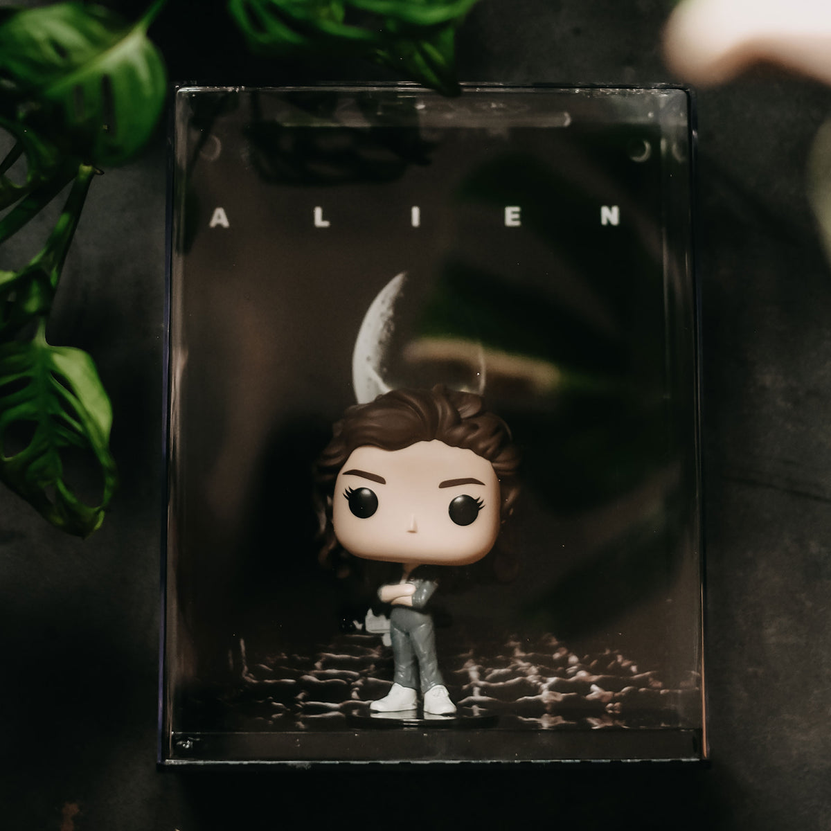 Immagine del prodotto Alien - Diorama Figura Funko Pop Ripley