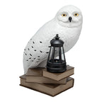 Product image Hedwig 3D Solar Lamp - Harry Potter