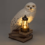 Product image Hedwig 3D Solar Lamp - Harry Potter