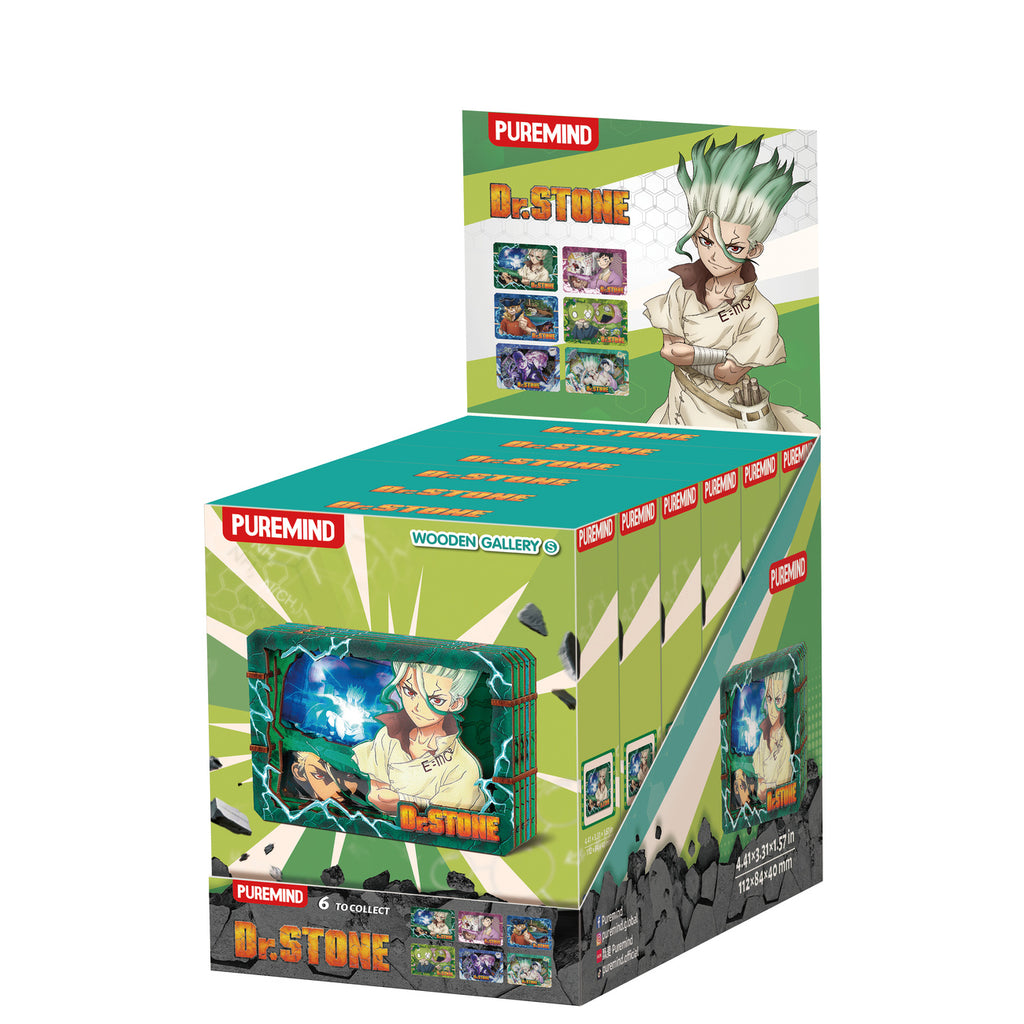 Product image Dr. Stone - Mystery Mini Wooden Picture Display E1095704