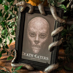 Product image Harry Potter - Nagini Picture Frame