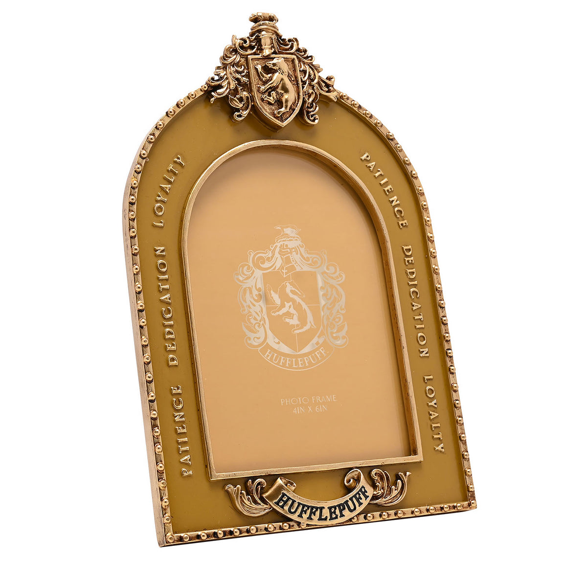 Immagine del prodotto Harry Potter - Cornice Tassorosso