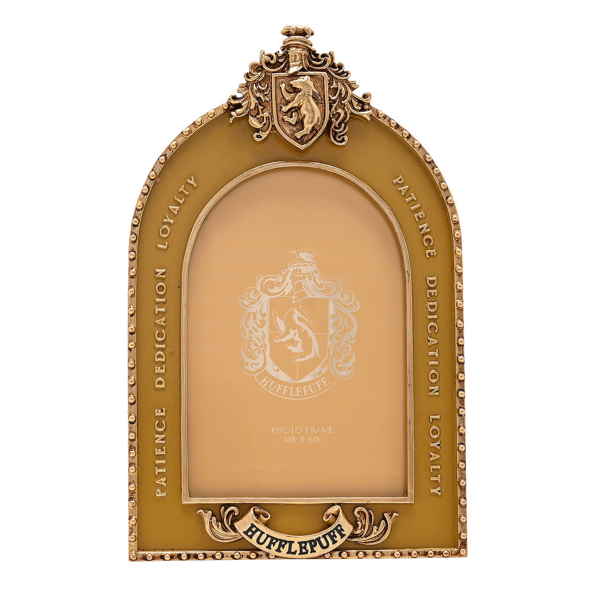 Immagine del prodotto Harry Potter - Cornice Tassorosso