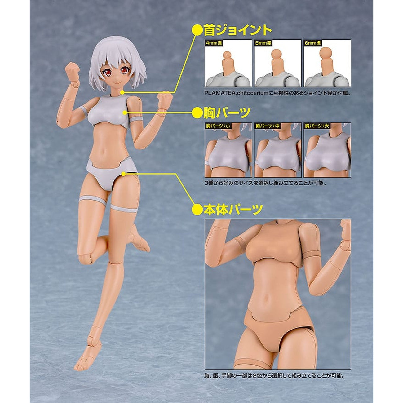 Product image PLAMATEA Model Kit - Muse Body: Ichika C Type