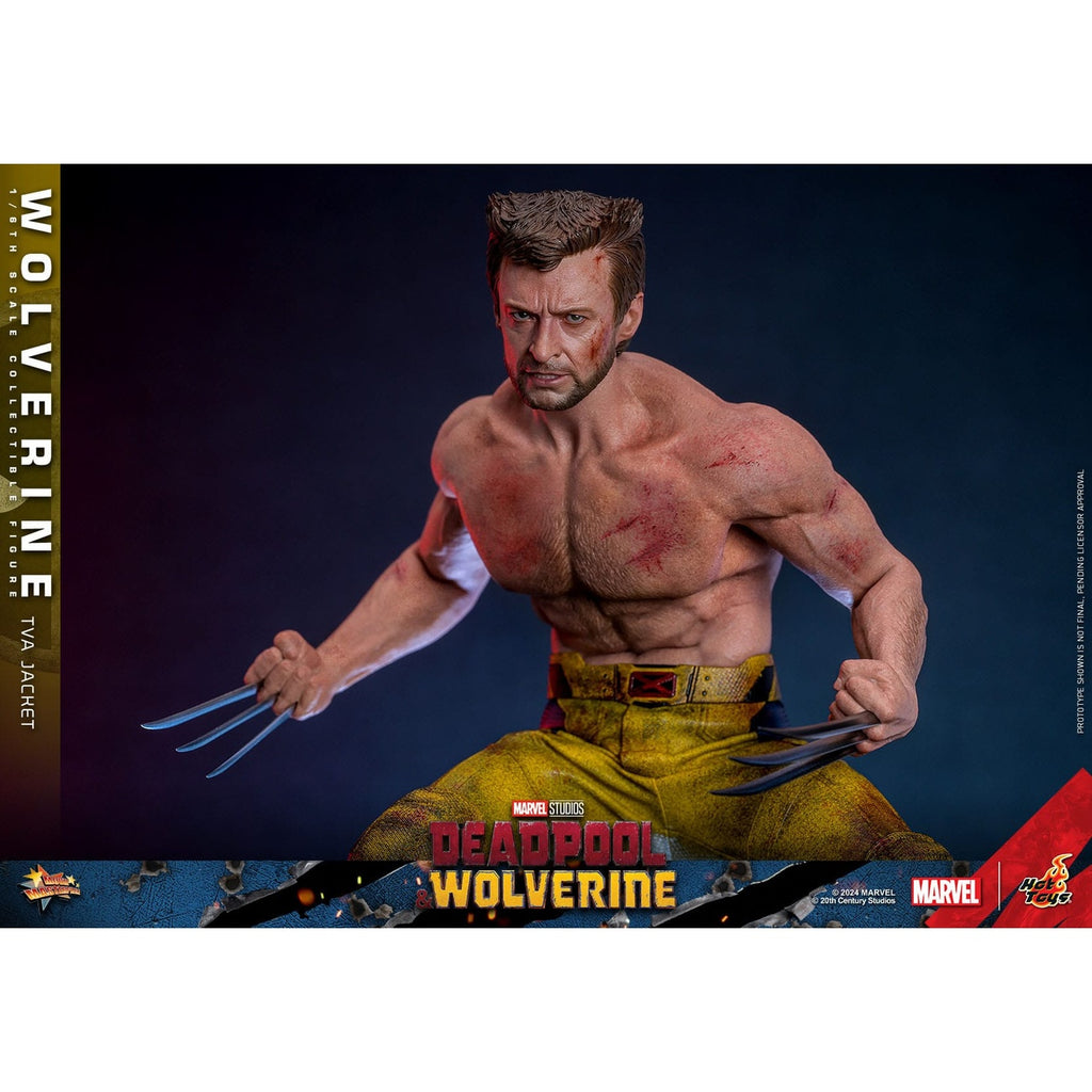 Product image Wolverine Masterpiece 1:6 Action Figure TVA Jacket Version – Deadpool & Wolverine