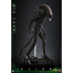 Immagine del prodotto Alien - Big Chap Masterpiece action figure 1:6