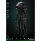 Immagine del prodotto Alien - Big Chap Masterpiece action figure 1:6