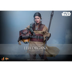 Immagine del prodotto Star Wars Episodio VI – Action figure Leia Organa Masterpiece 1:6