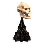 Immagine del prodotto Il Signore degli Anelli - Mini statua Teschio di Lurtz