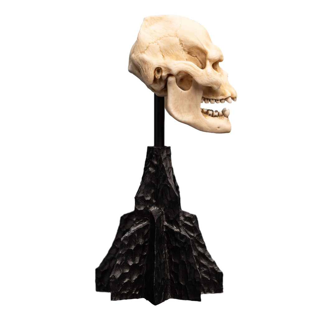 Immagine del prodotto Il Signore degli Anelli - Mini statua Teschio di Lurtz