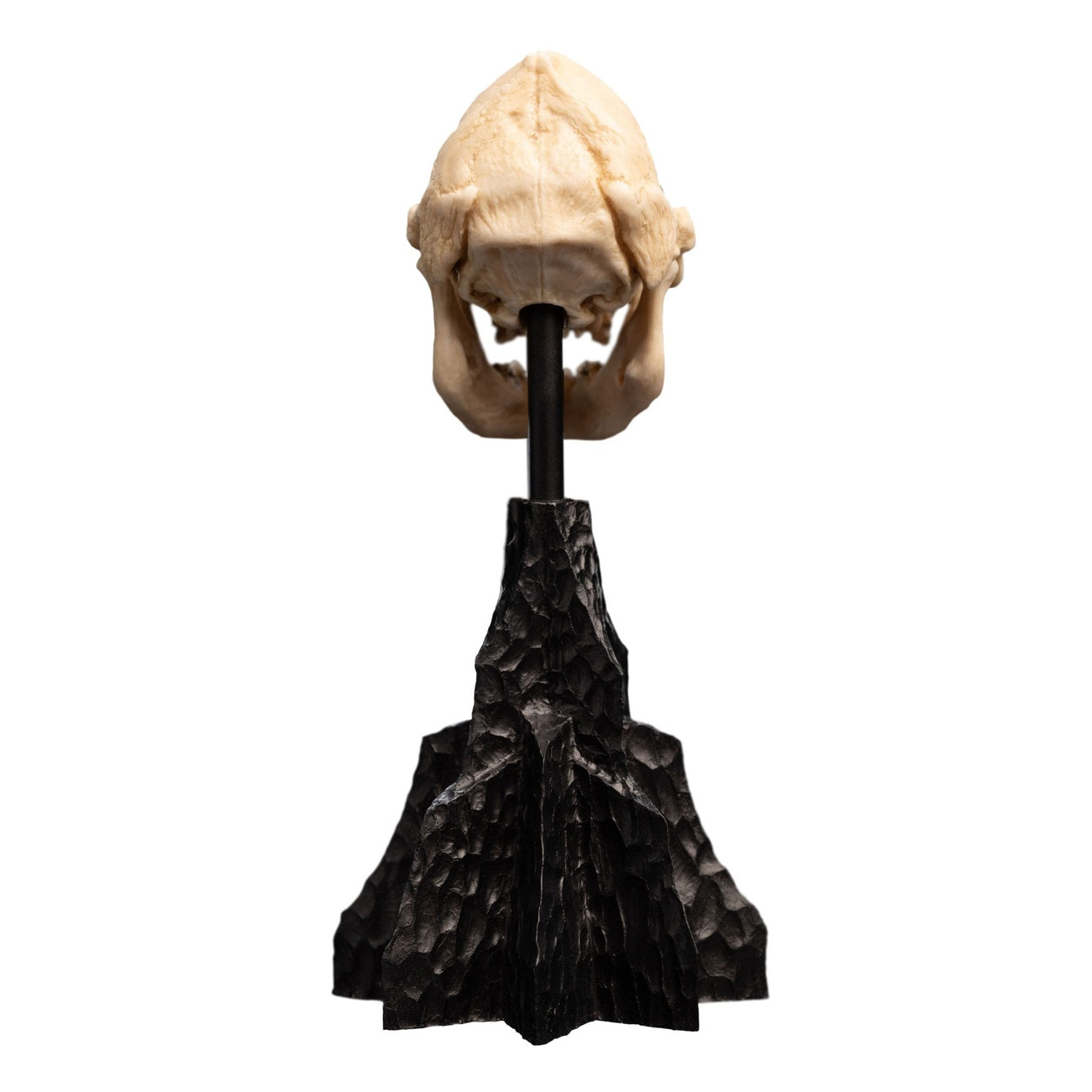 Immagine del prodotto Il Signore degli Anelli - Mini statua Teschio di Lurtz