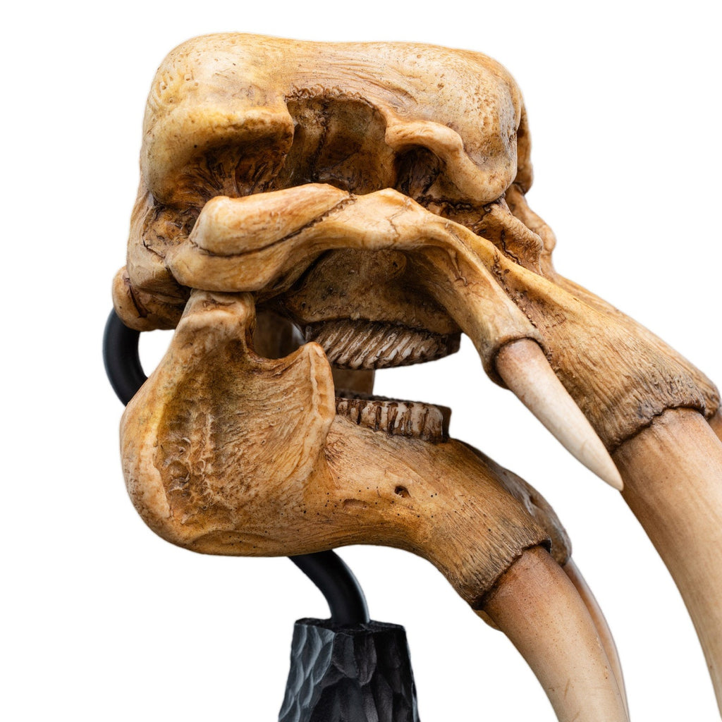 Immagine del prodotto Il Signore degli Anelli - Teschio di un Mumak Mini Statua