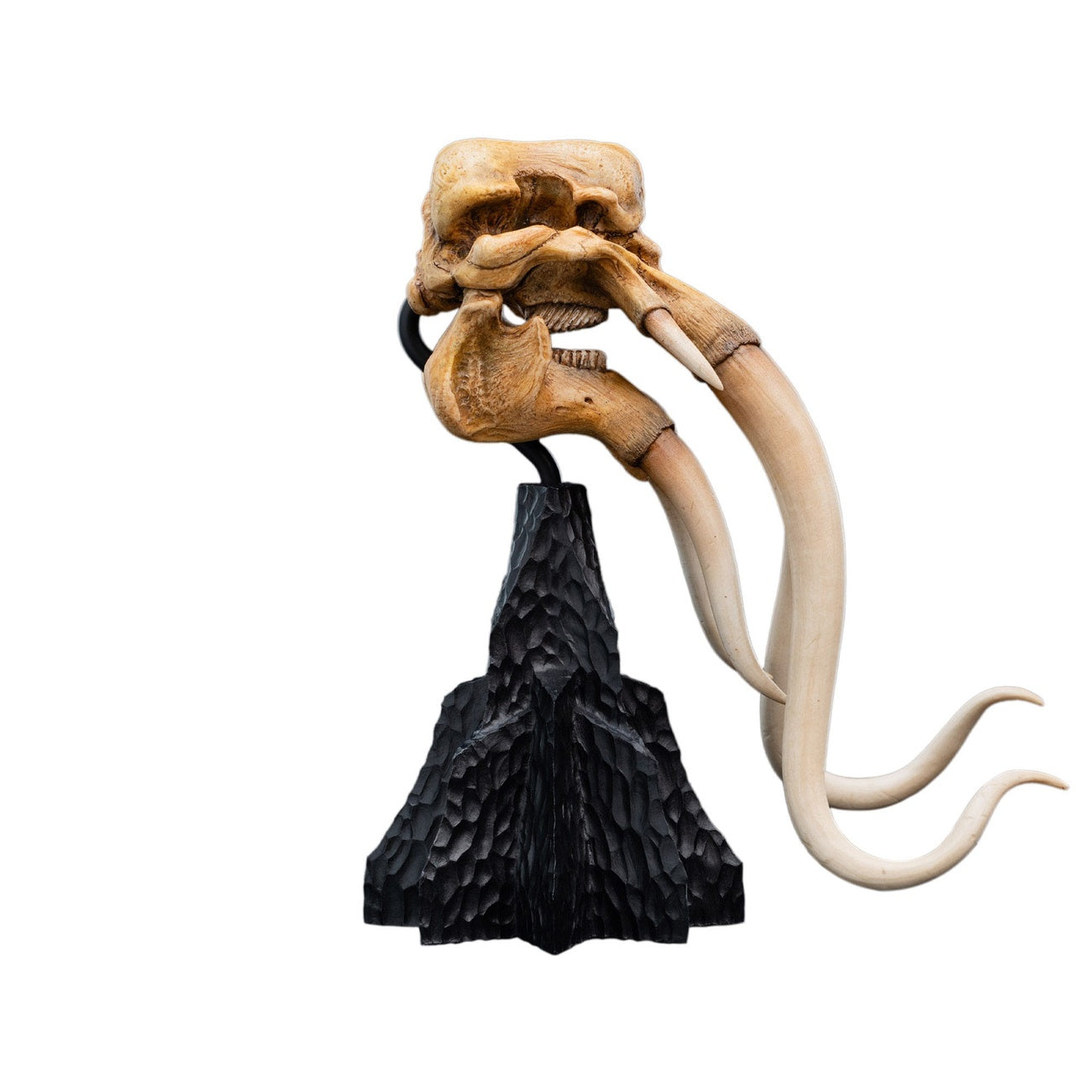 Immagine del prodotto Il Signore degli Anelli - Teschio di un Mumak Mini Statua