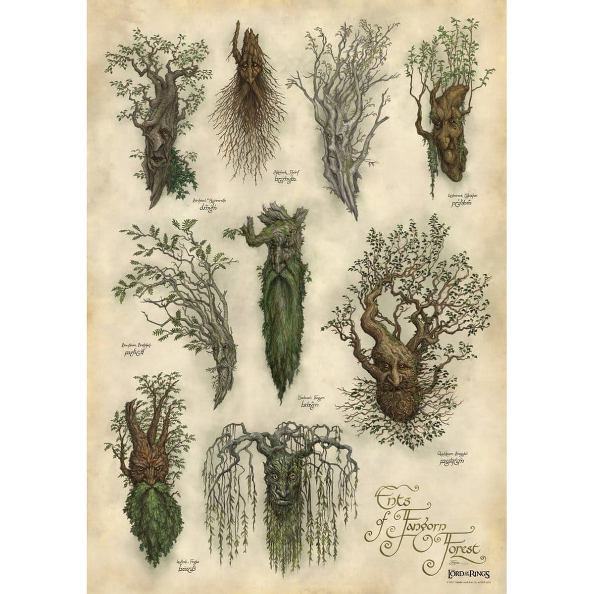 Immagine del prodotto Il Signore degli Anelli – Stampa artistica Fangorn