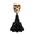 Immagine del prodotto Il Signore degli Anelli - Teschio di un Orco di Mordor Mini Statua