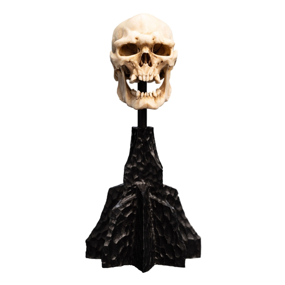 Immagine del prodotto Il Signore degli Anelli - Teschio di un Orco di Mordor Mini Statua