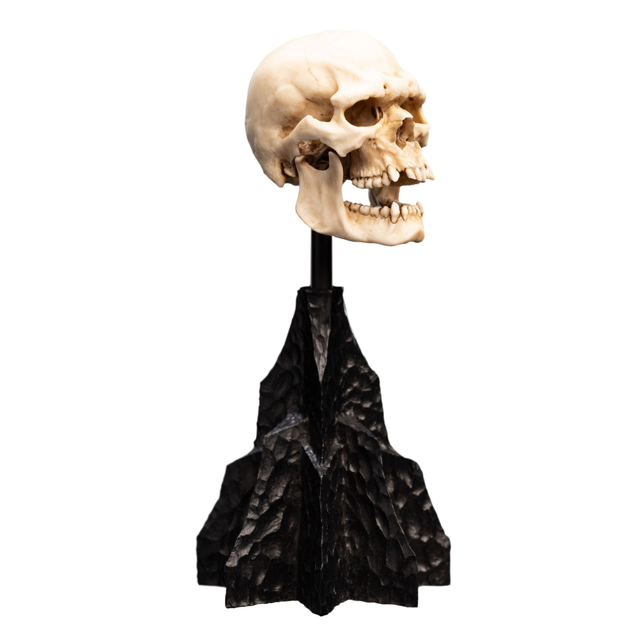 Immagine del prodotto Il Signore degli Anelli - Teschio di un Orco di Mordor Mini Statua