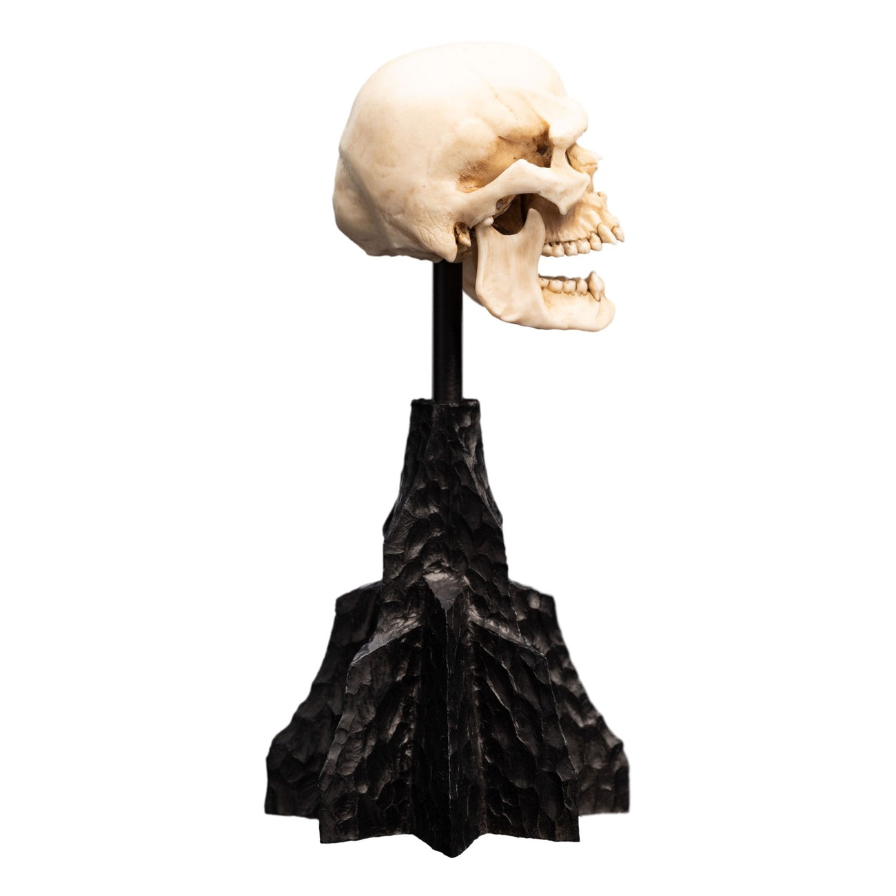 Immagine del prodotto Il Signore degli Anelli - Teschio di un Orco di Mordor Mini Statua