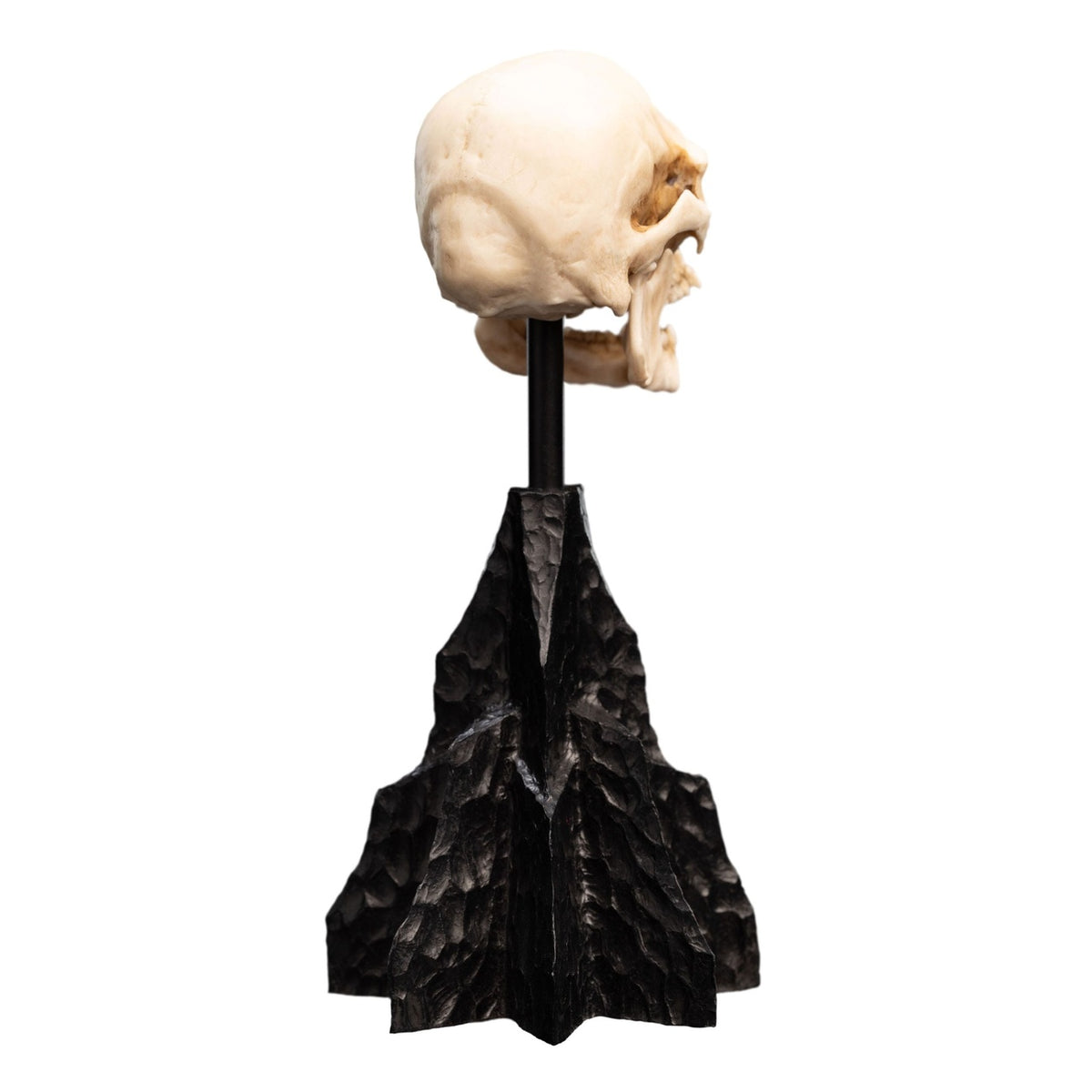 Immagine del prodotto Il Signore degli Anelli - Teschio di un Orco di Mordor Mini Statua