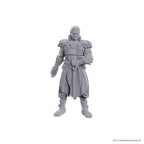 Immagine del prodotto D&D Nolzur's Marvelous Miniatures Miniature non dipinte Jaheira & Halsin