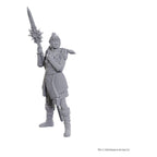 Immagine del prodotto D&D Nolzur's Marvelous Miniatures miniature non dipinte Lae'zel & Shadowheart