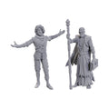Immagine del prodotto D&D Nolzur's Marvelous Miniatures Miniatura non dipinta Volo & Withers