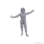 Immagine del prodotto D&D Nolzur's Marvelous Miniatures Miniatura non dipinta Volo & Withers