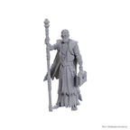 Immagine del prodotto D&D Nolzur's Marvelous Miniatures Miniatura non dipinta Volo & Withers