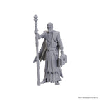 Immagine del prodotto D&D Nolzur's Marvelous Miniatures Miniatura non dipinta Volo & Withers
