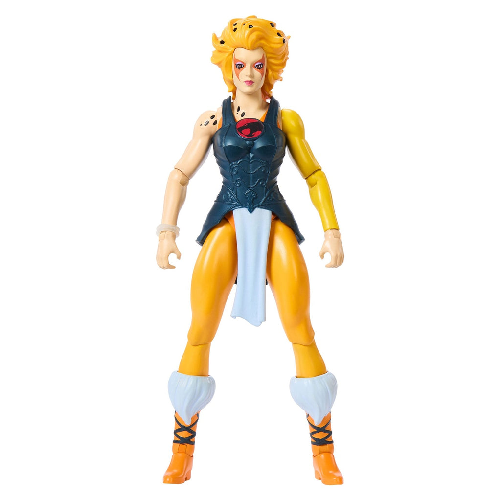 Immagine del prodotto Masters of the Universe x ThunderCats Action figure Cheetara 14 cm