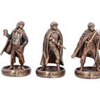 Product image The Lord of the Rings - The Fellowship Collectible Figures Set of 5