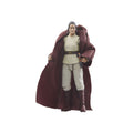 Immagine del prodotto Star Wars: The Acolyte Vintage Collection Action Figure Jedi Master Indara 10 cm