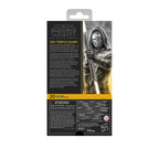 Immagine del prodotto Star Wars: The Clone Wars Black Series action figure Jedi Temple Guard 15 cm