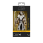 Immagine del prodotto Star Wars: The Clone Wars Black Series action figure Jedi Temple Guard 15 cm