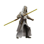 Immagine del prodotto Star Wars: The Clone Wars Black Series action figure Jedi Temple Guard 15 cm